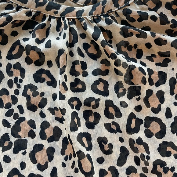 Sheer Leopard Print Top - Picture 5 of 6